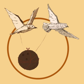 2 swallows with coconut