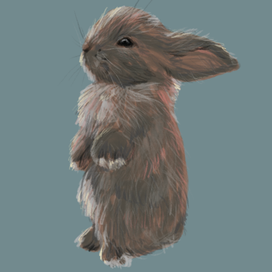 Маленький кролик