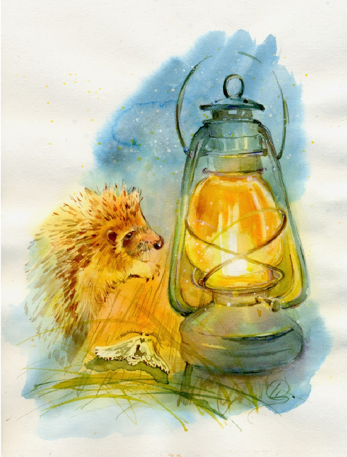 Носик вернулся