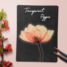 Transperent Poppy