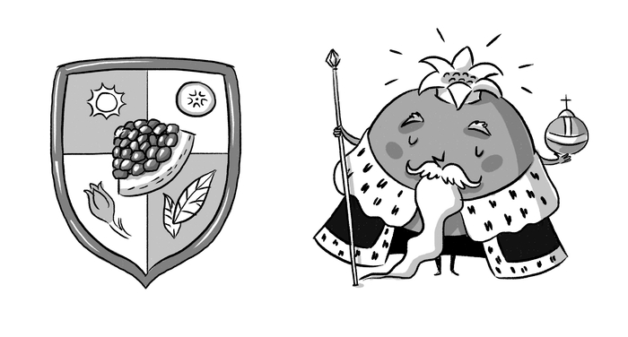 Гранат - король плодов