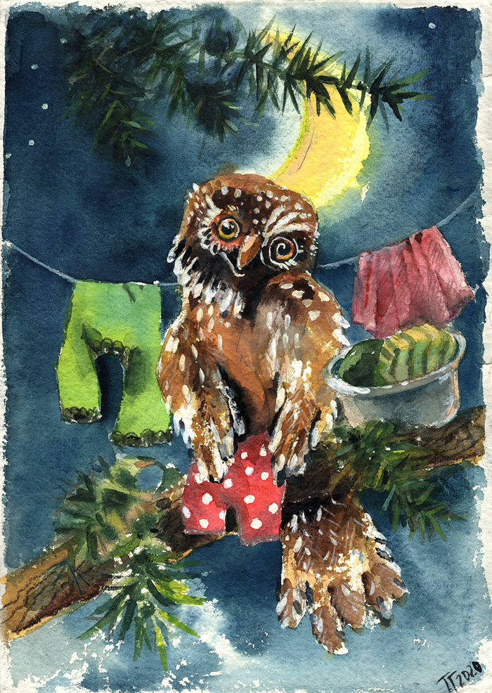 Совец-отец-молодец