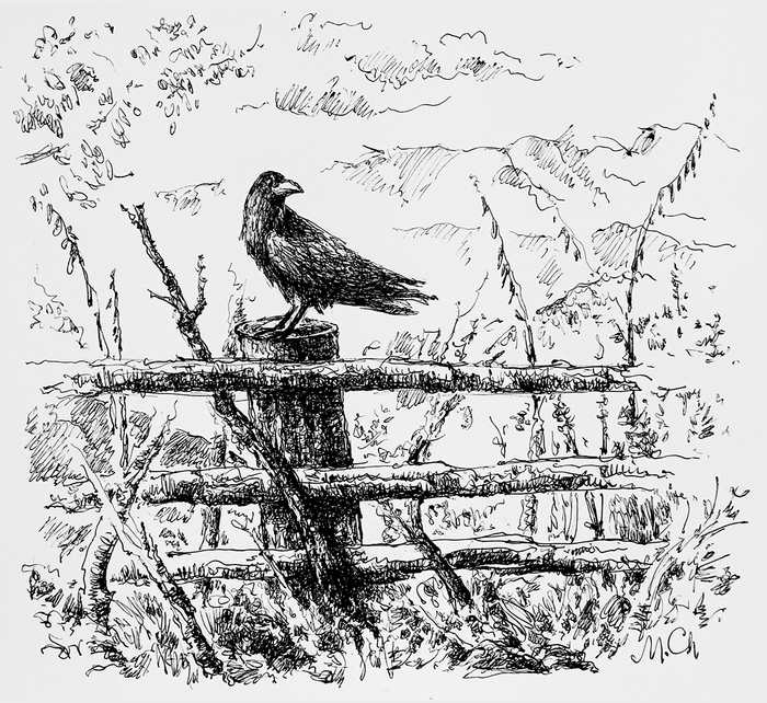 Изгородь с Вороном