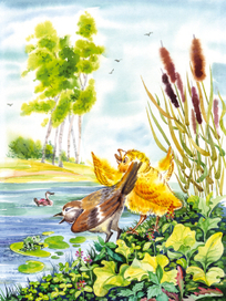 "Лесные истории". Сказка "Куда полетел ветер"