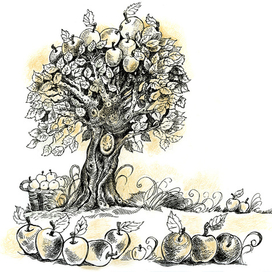 Заставка для интернет-сайта