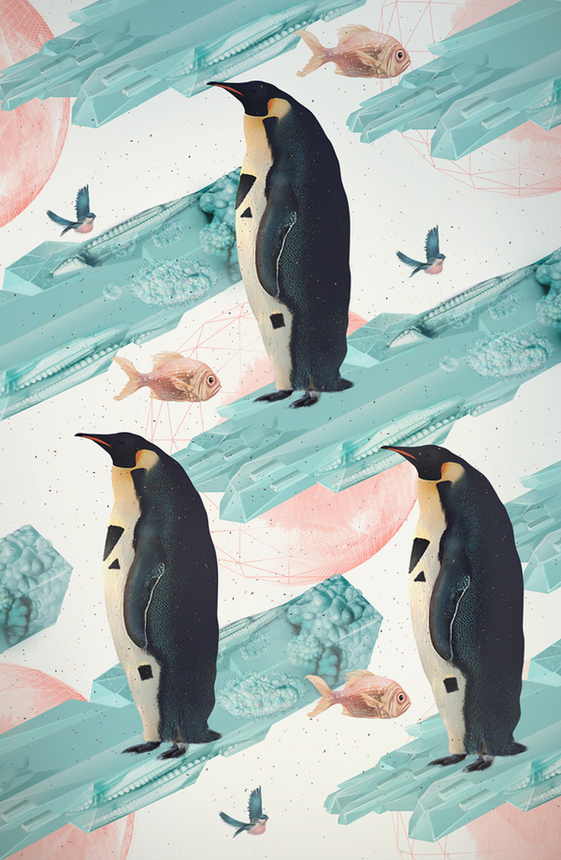 Ледовый гость