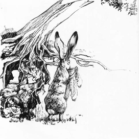 ** Заяц и комбинезон **