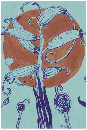 Чудный лес-4.