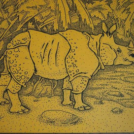 Яванский носорог