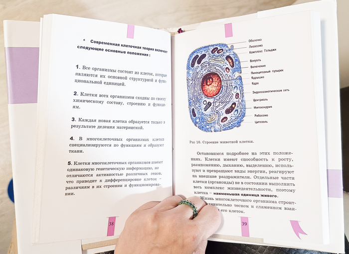 Учебник Биологии 10-11 класс. 