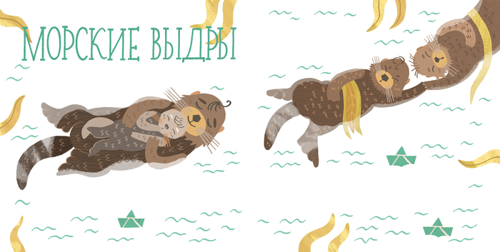 Как спят зверята? Морские выдры.