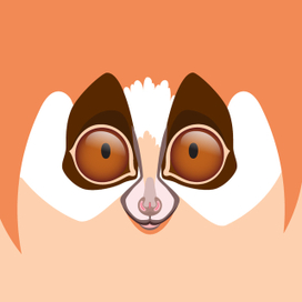 Сафари. Лори.