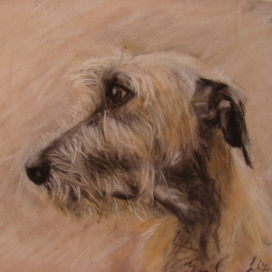 Irish Wolfhound