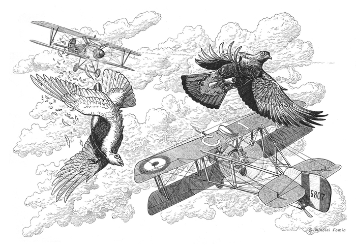 Прервал товарища полёт на "Альбатросе" пулемёт.