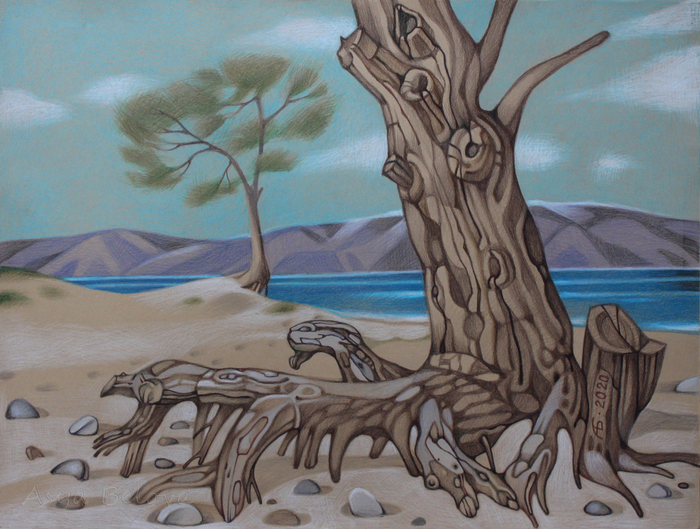 Собирающий камешки