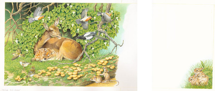 Иллюстрации к книге "Бемби"