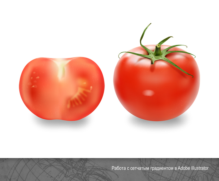Помидор