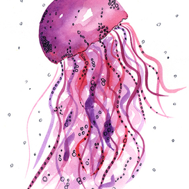 Jellyfish