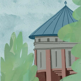 Вид из окна