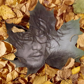 Мои рисунки на листьях