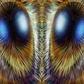 Глаза пчелы