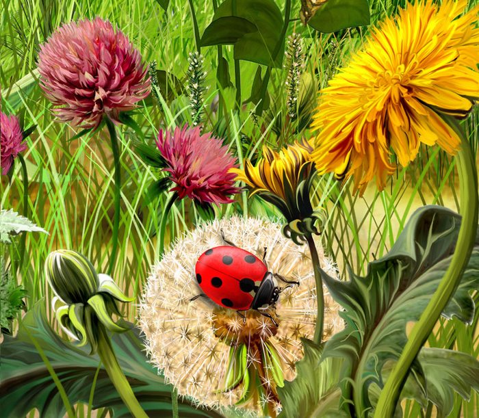 Одуванчики