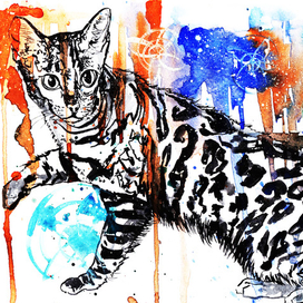 Пятнистая кошка и рыжая краска