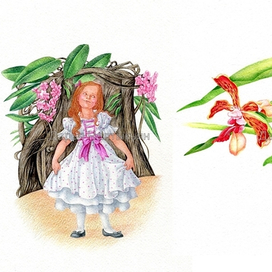 модница, Цветочные имена