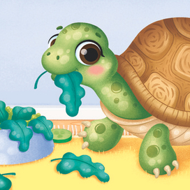 Черепаха, издательство "Маламалама"