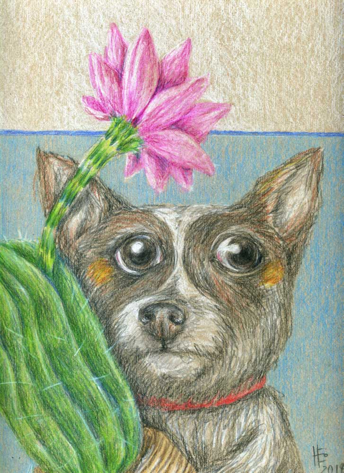 Продолжение Сказки про Кота и Гриб