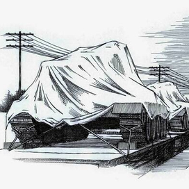 Живые и мёртвые. Последнее лето. Глава 15.