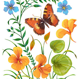 настурция и лён