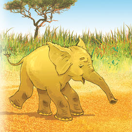 Большие открытия маленького львенка, иллюстрация