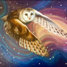 Imaginary Owl