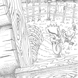 Петух важно выходил под окно и заглядывал в него нахальными красными глазами (ц)