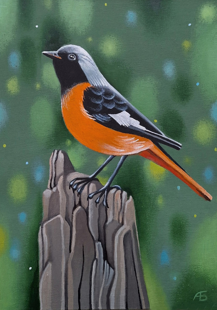 Горихвостка