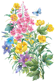 летняя смесь