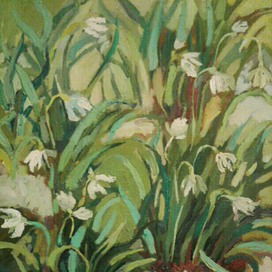 Первоцветы (Галантусы)