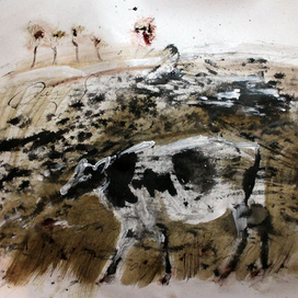 корова гуляет одна в пестрых и снежных полях