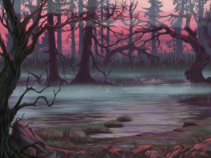 розовый закат на болоте