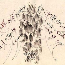 Козявки со стихами.