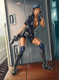 Транспортная милиция