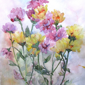 Хризантемы. Акврель