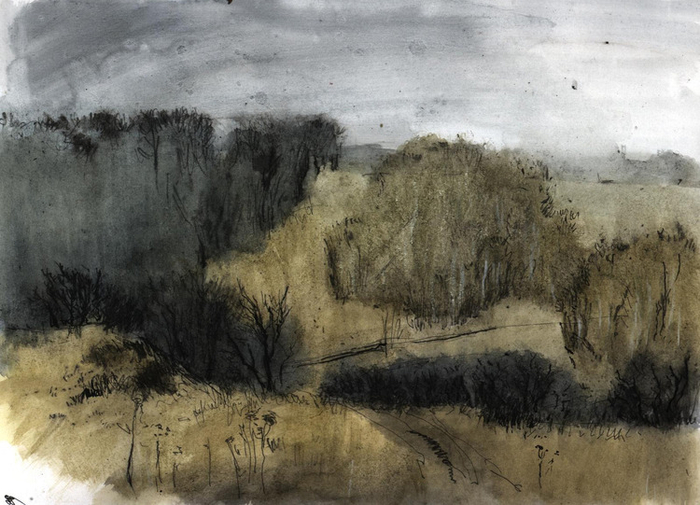 без названия