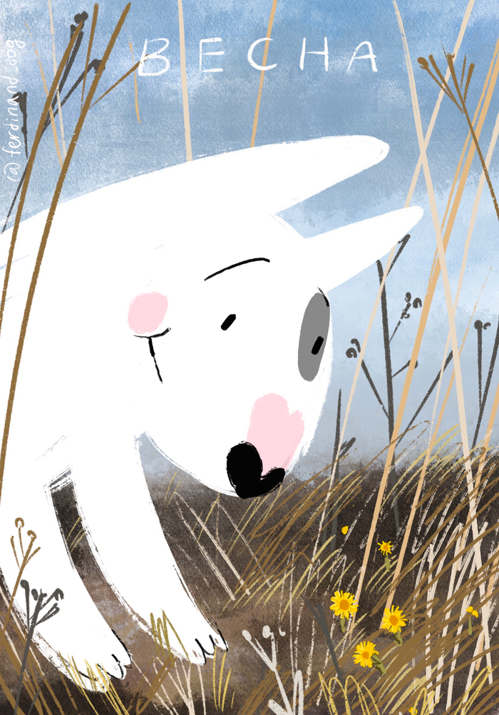 маленькие солнышки в прошлогодней траве