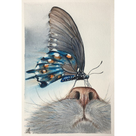 Носатый-полосатый