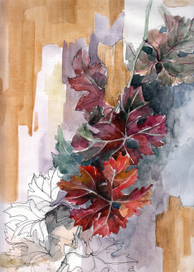 Виноградная лоза