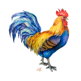 Петух_символ года 2017