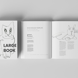 книга с иллюстрацией