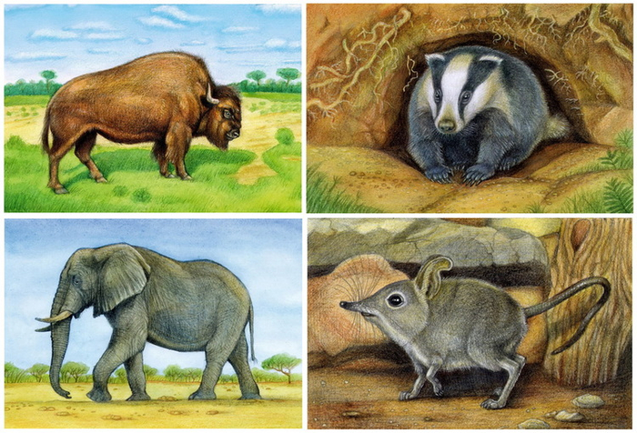  "О всех созданиях, больших и малых".